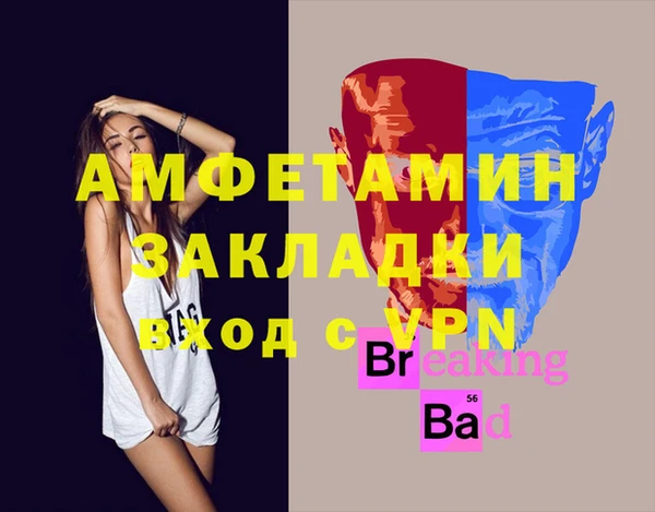 шишки Аркадак