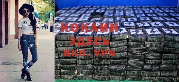 гашик Арсеньев