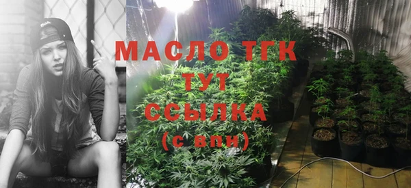 шишки Аркадак