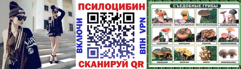 Псилоцибиновые грибы Psilocybe  закладки  Лесной 