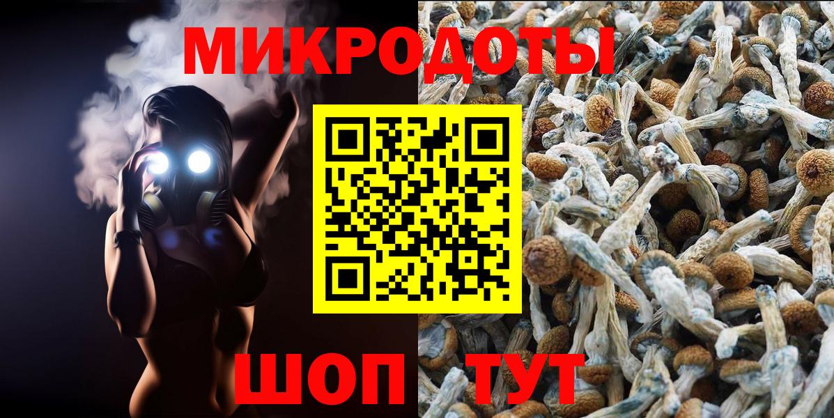 Лесной  Псилоцибиновые грибы Psilocybe  продажа наркотиков  Вход с VPN 