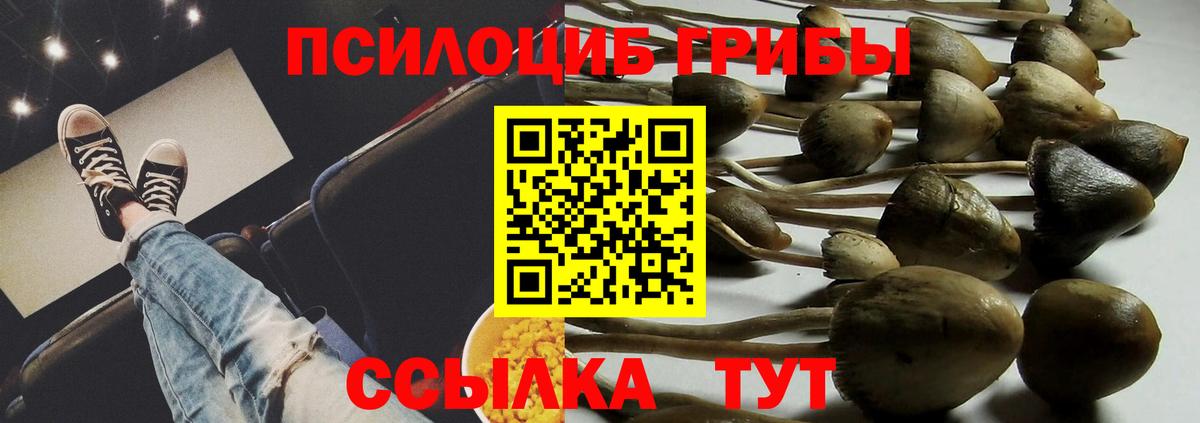 Галлюциногенные грибы Cubensis Лесной